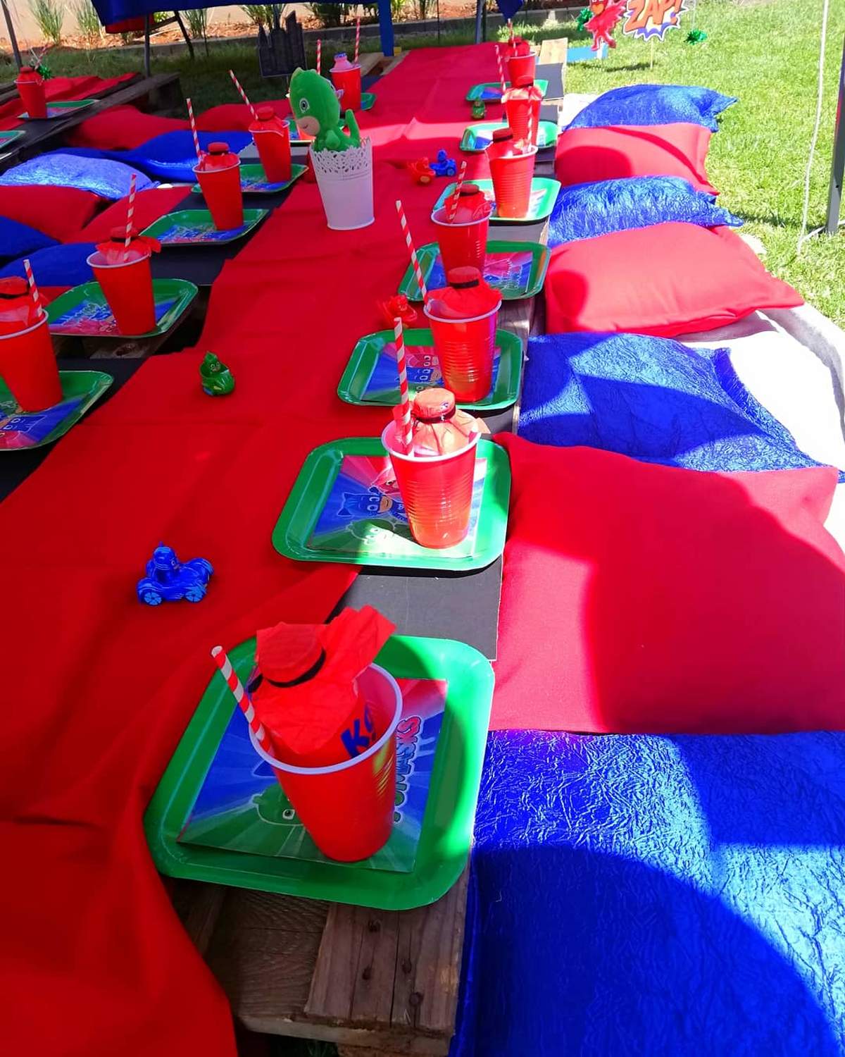 Kgosi's 5th Birthday PJ Mask Picnic  - PJ Masks 