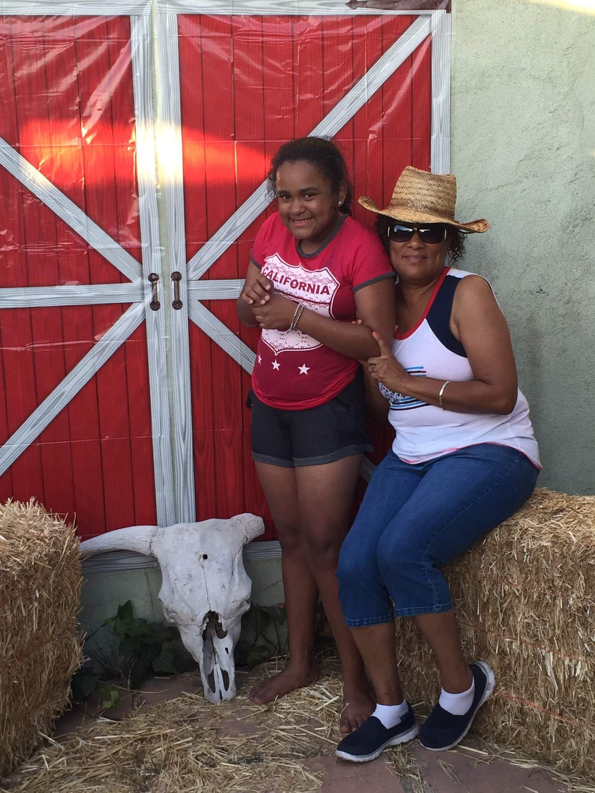 4th of July Barnyard Party - Barnyard 
