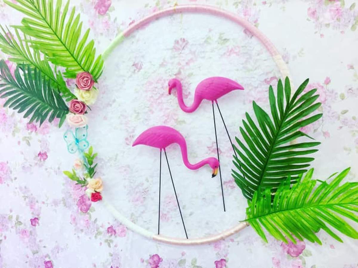 Flamingo day - Flamingos