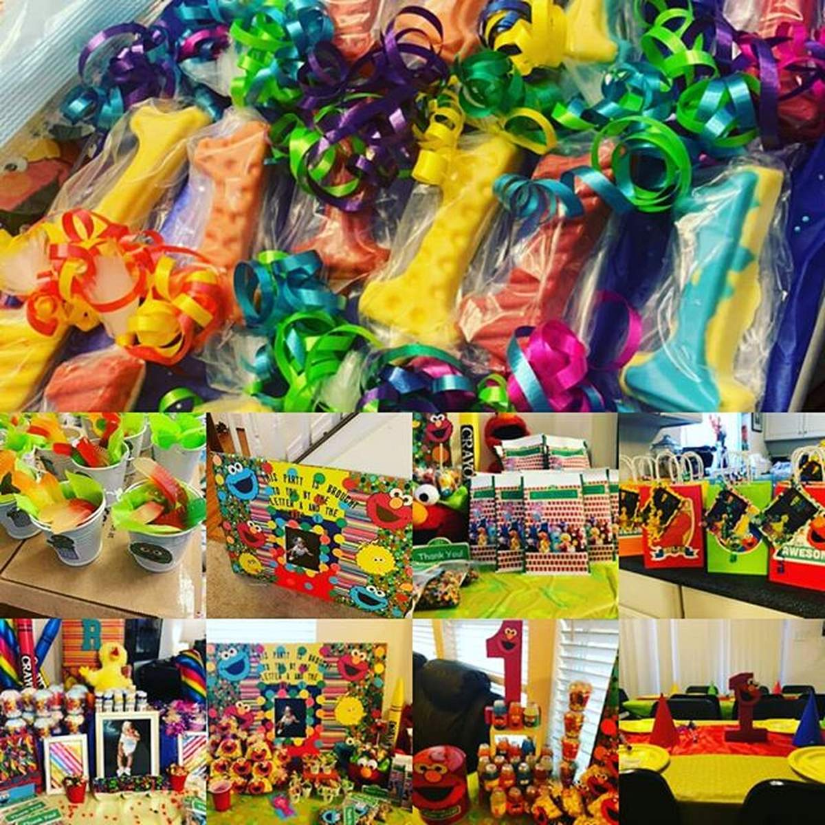 Aubri's Seasame Street Party - Sesame Street
