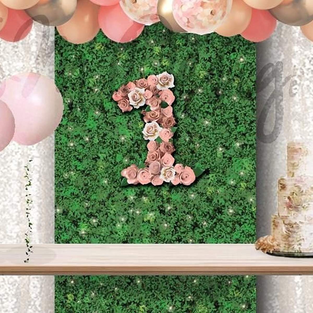 Blush Roses Number One 1st birthday - None