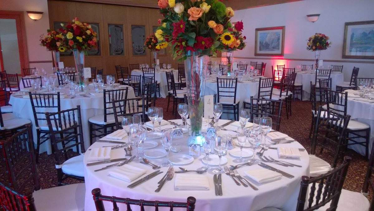 Hernandez Wedding - None