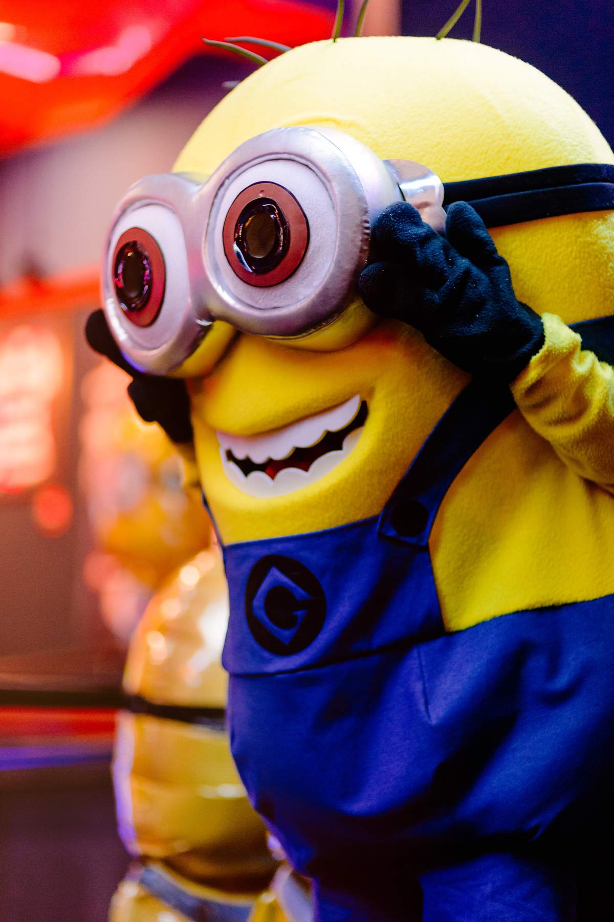 Despicable Me Minions Birthday Party Ideas Photo 45 Of 46 Catch My Party