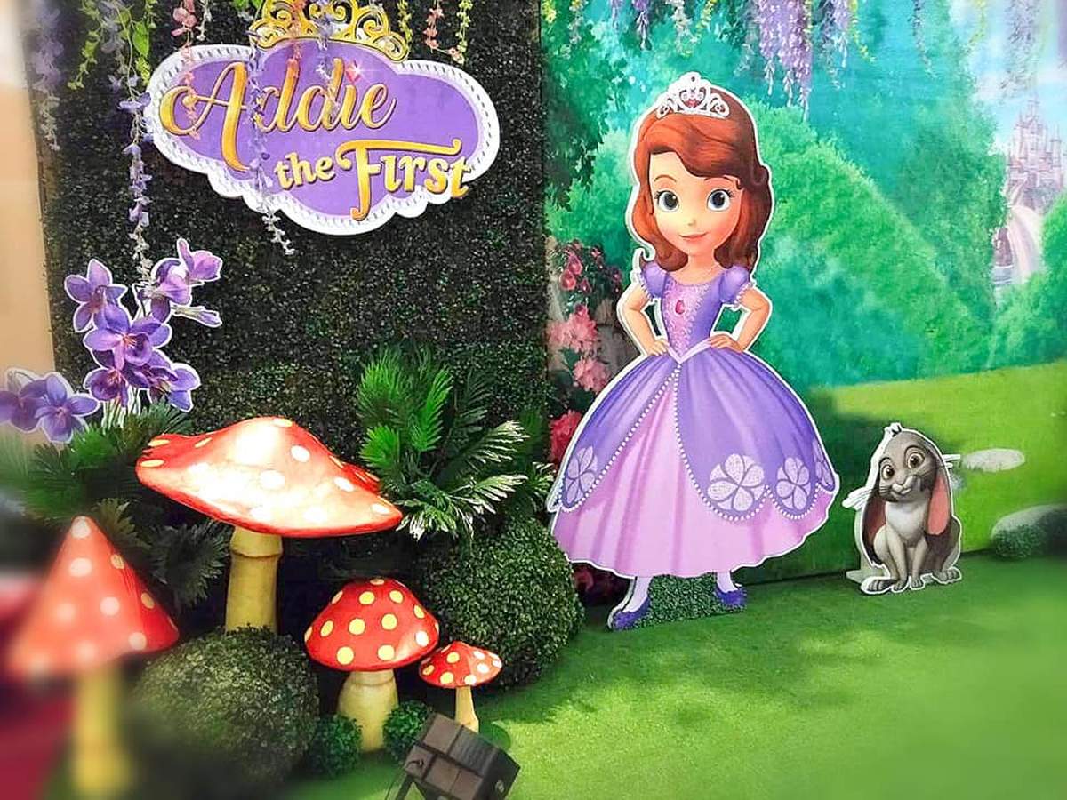 Sofia the First party - Sofia the First