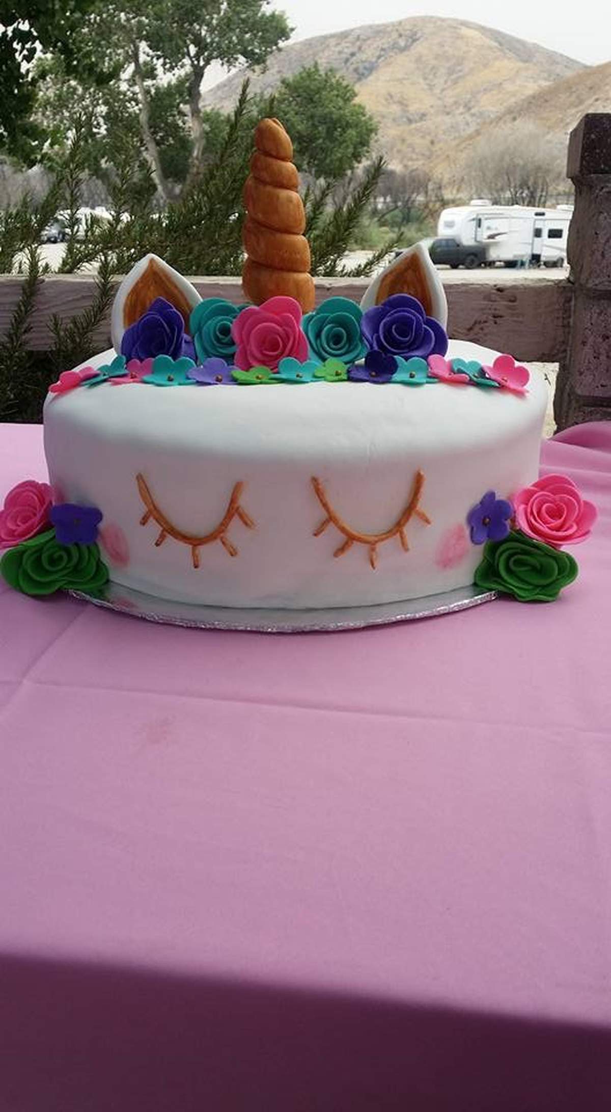 Camping party - Unicorn 
