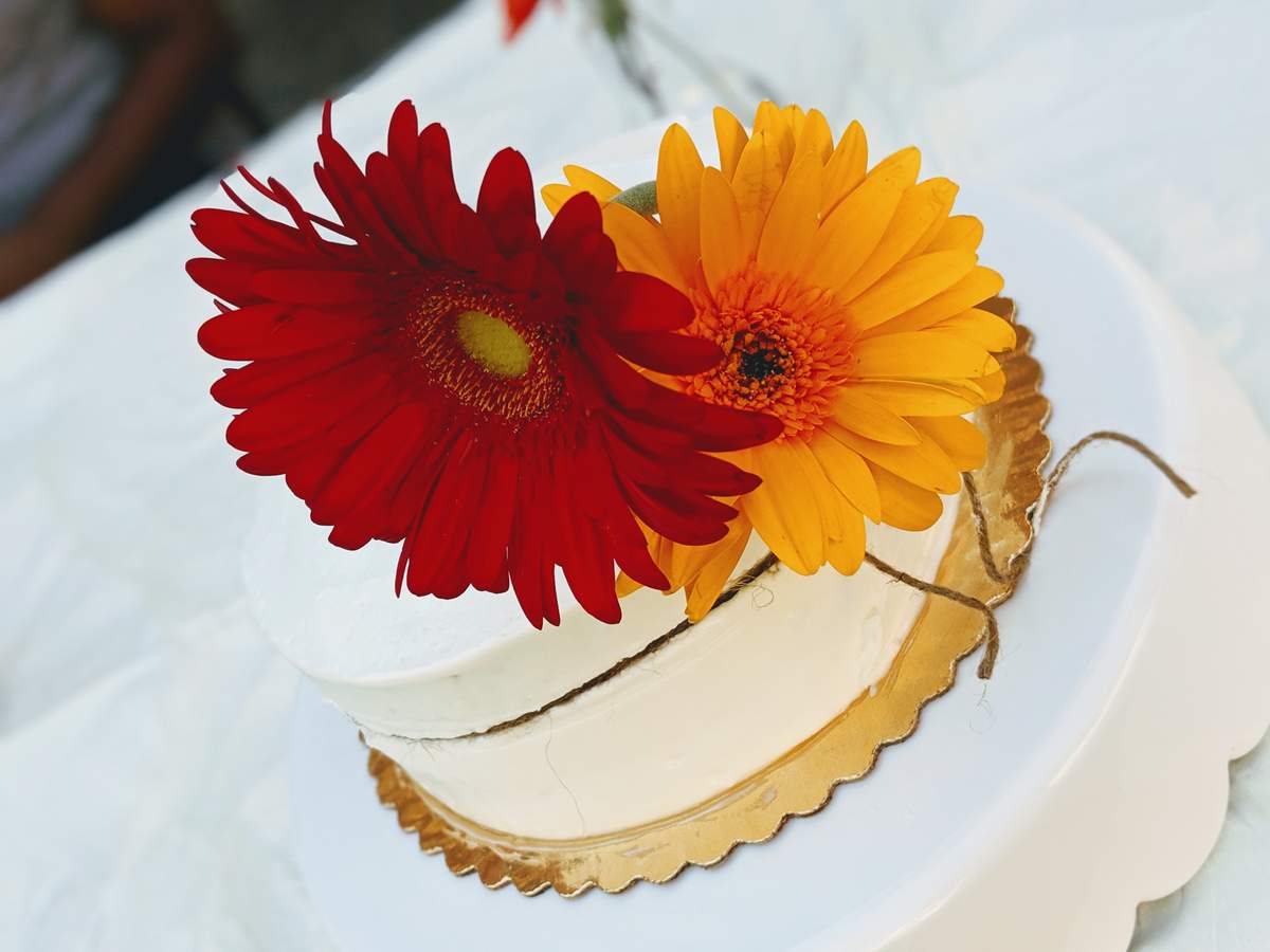 Summer Sunset Garden Party  - Flowers