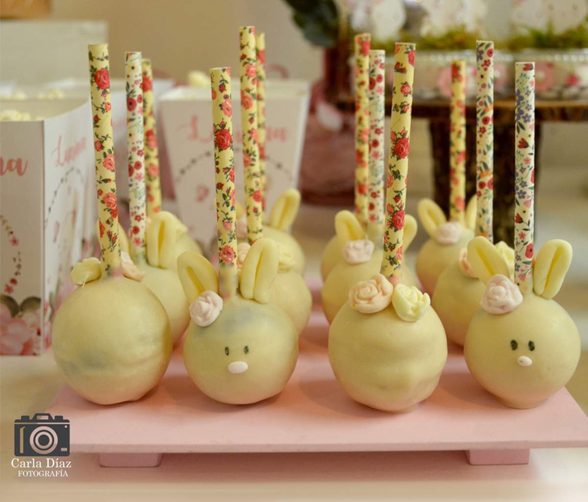 Bunnies / Rabbits Birthday Party Ideas | Photo 3 of 16 | Catch My Party