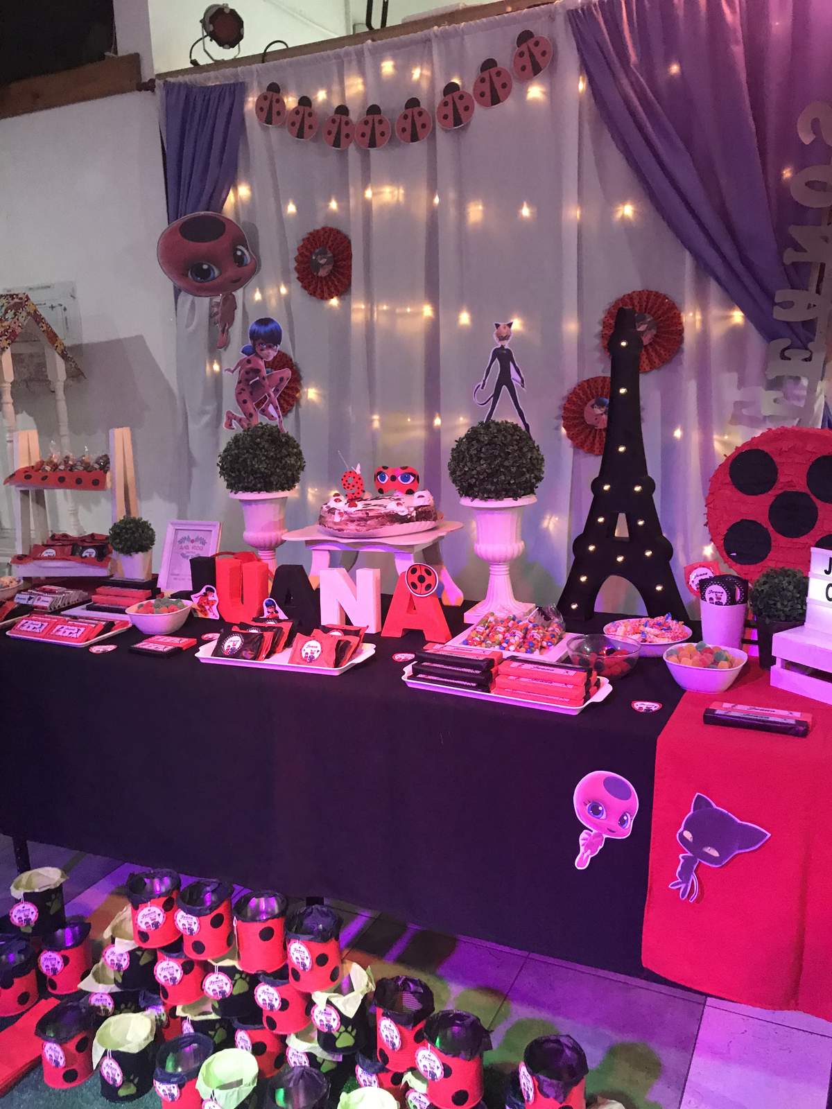Juana's Lady Bug birthday party - Ladybugs