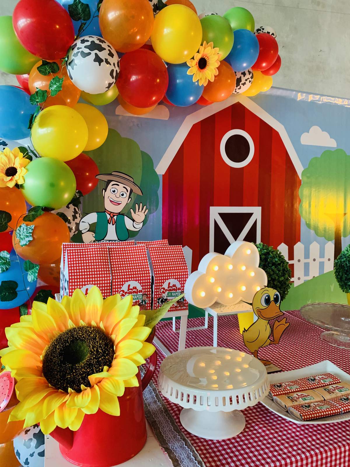 Farm birthday party - Zenón 