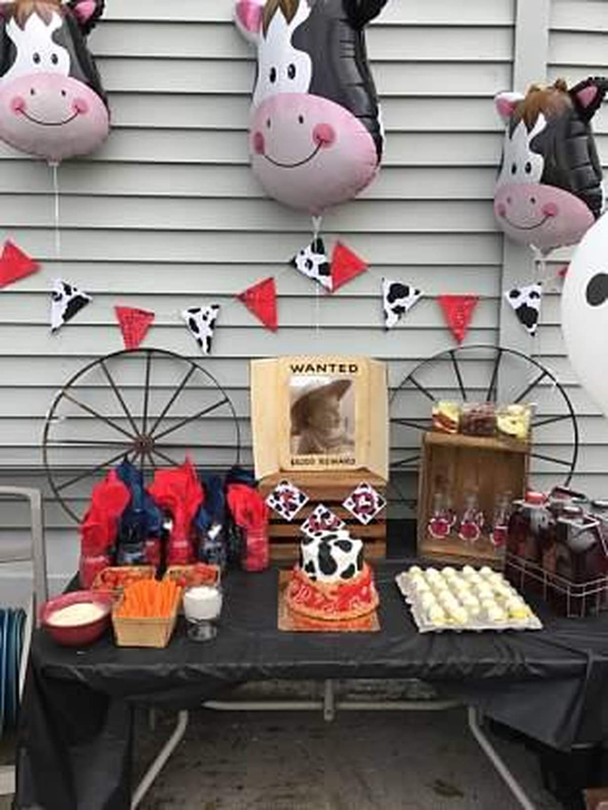 Western and Cow Themed Birthday Party - Cowboy