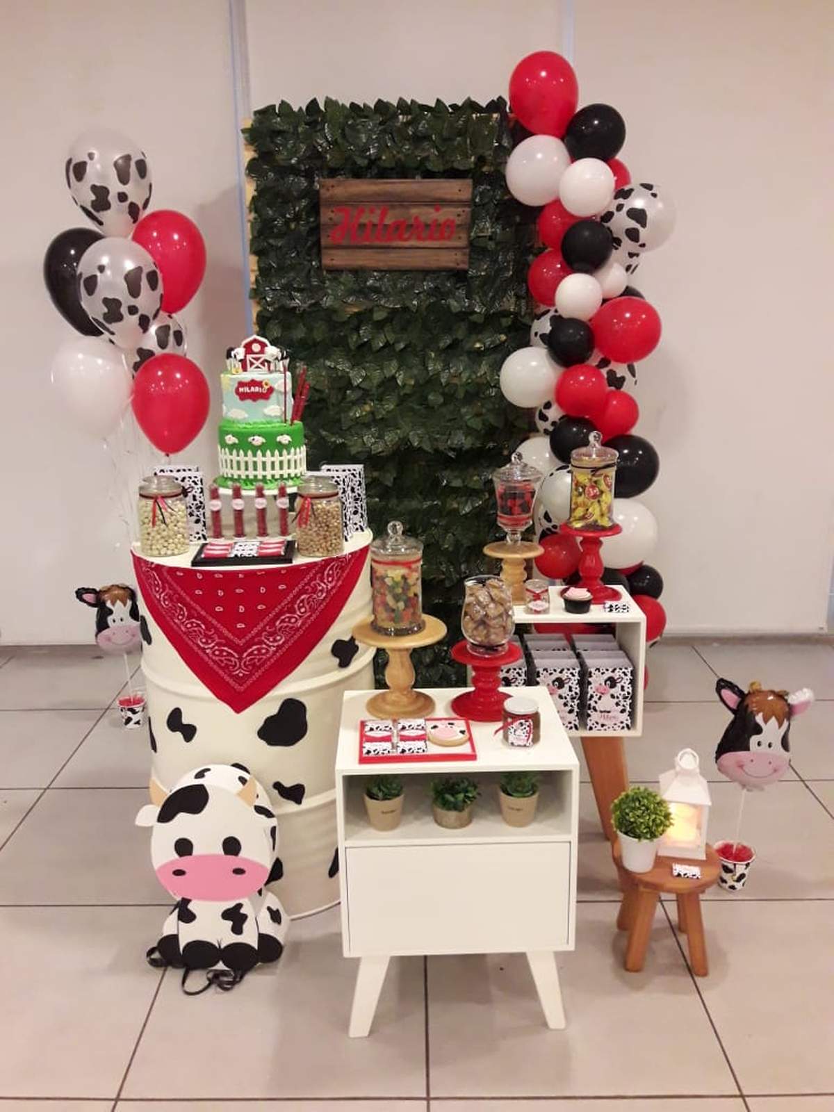 Hilario's Farm Animal birthday party  - Animals