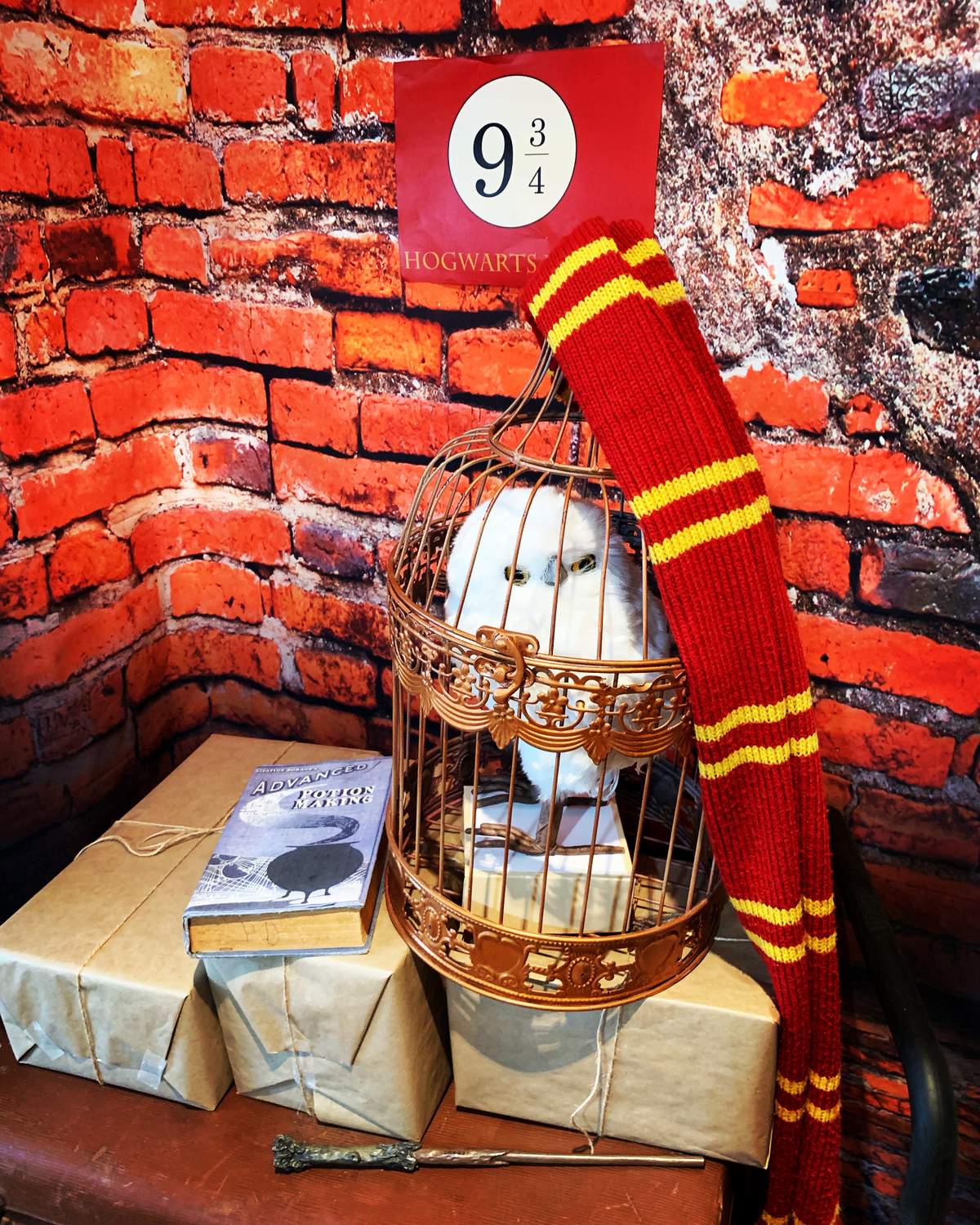Harry Potter 12th Birthday - Harry Potter