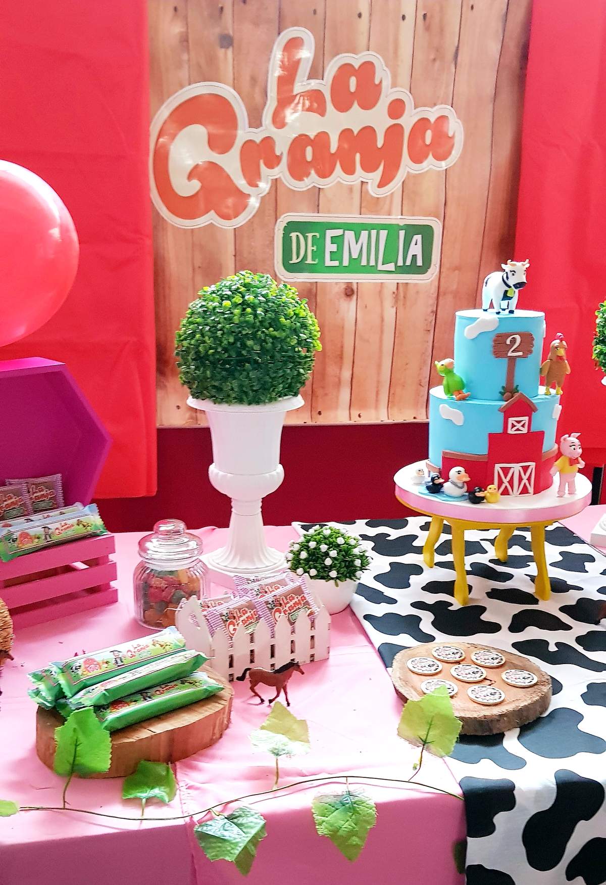 Emilia's Farm birthday party - Farm