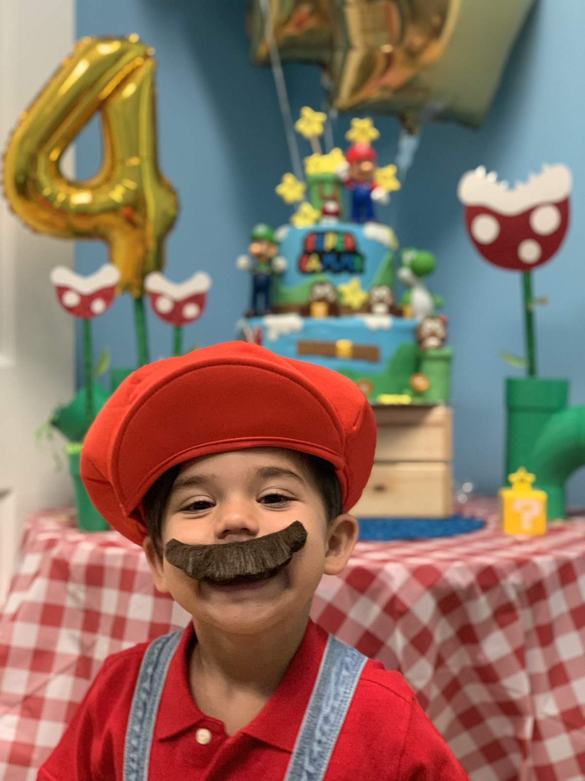 Mario Bros Birthday Party - Mario and Luigi