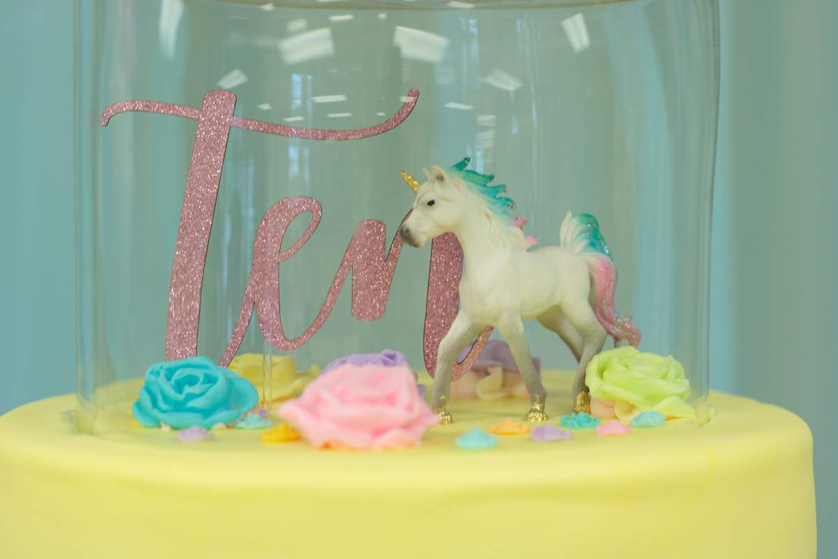 Tinarri's Unicorn Birthday Bash - Unicorn