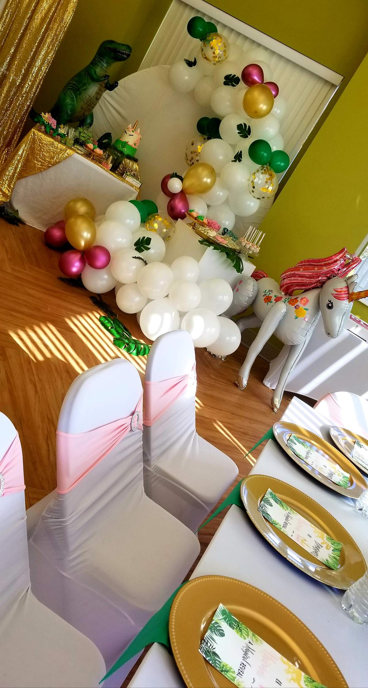 Amber's Gender Reveal  - Dinosaurs or Unicorns 