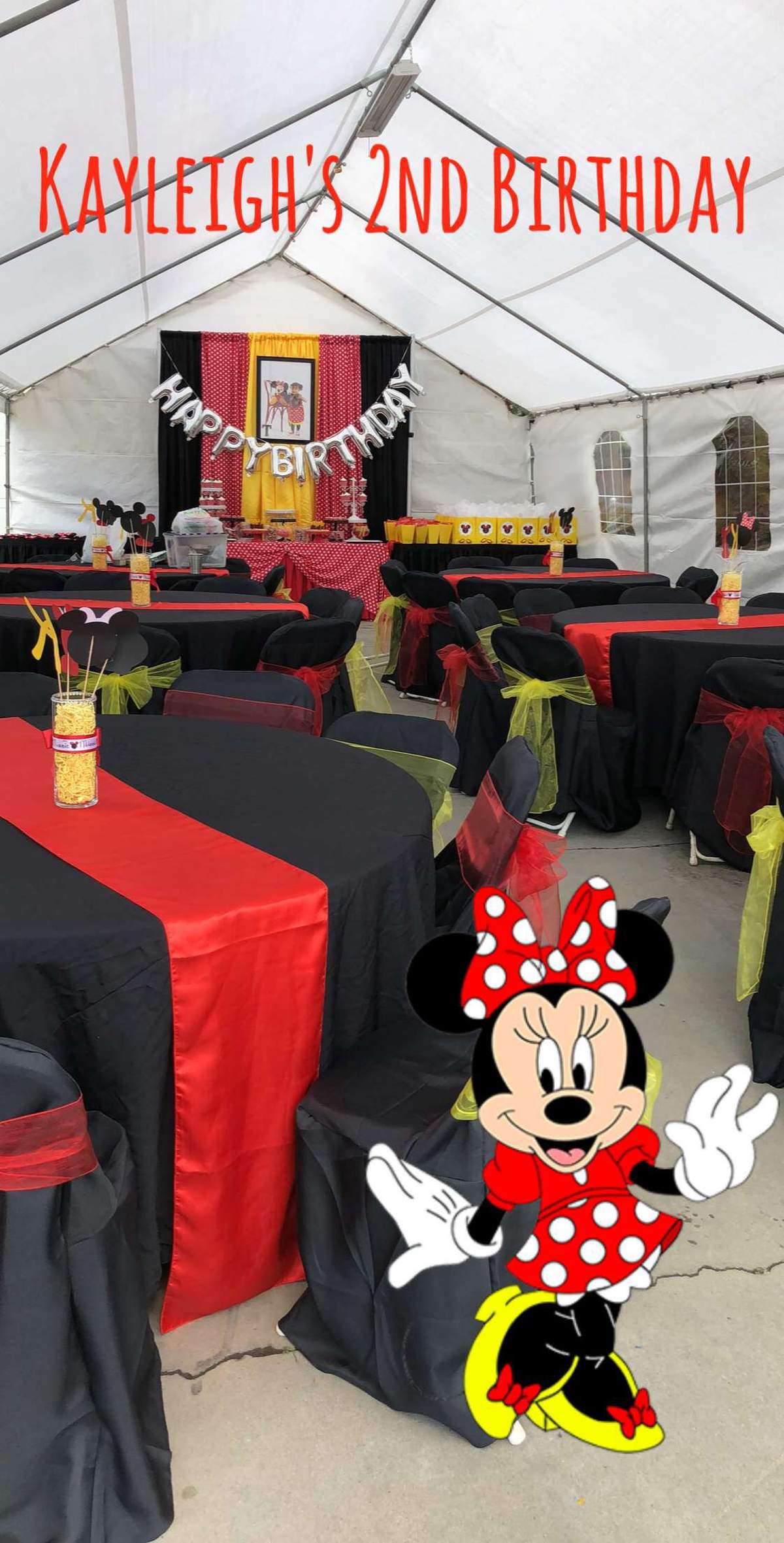 Kayleigh’s Two-ddles Party  - Minnie Mouse 