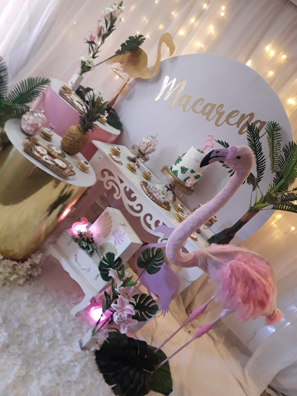 My pink flamingo - Flamingos