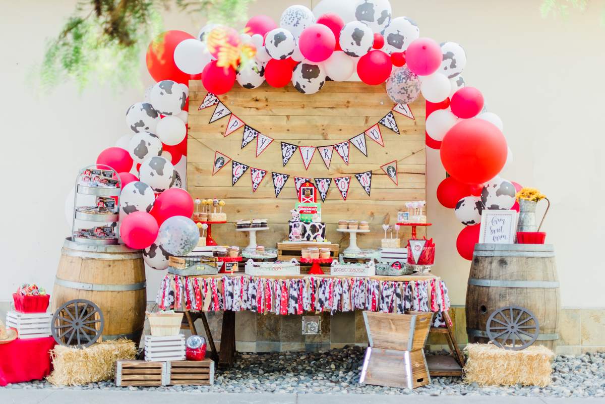 Cam's Barnyard Birthday Bash - Farm and Barnyard