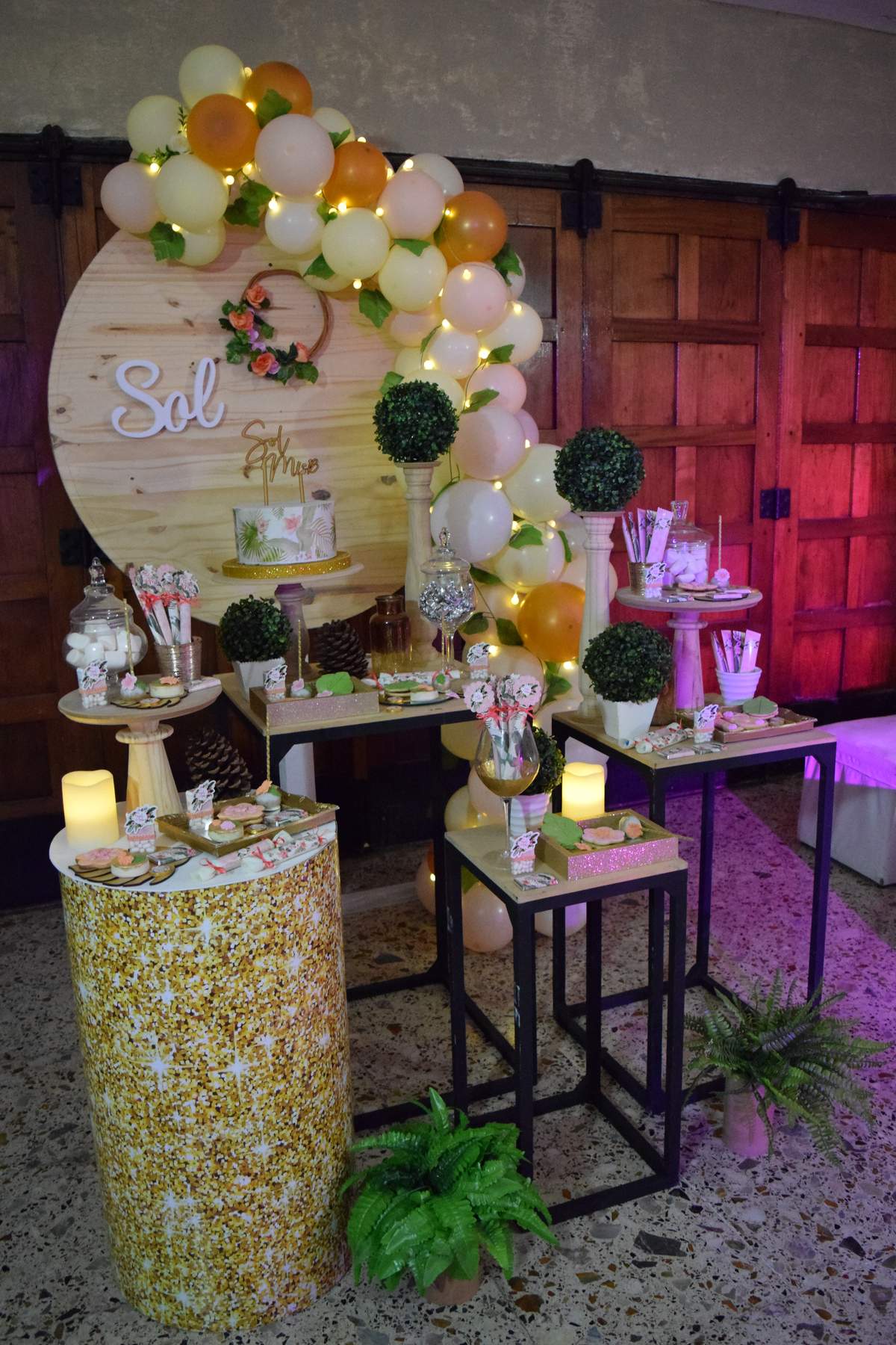 Sol's 18th birthday party - Tropical