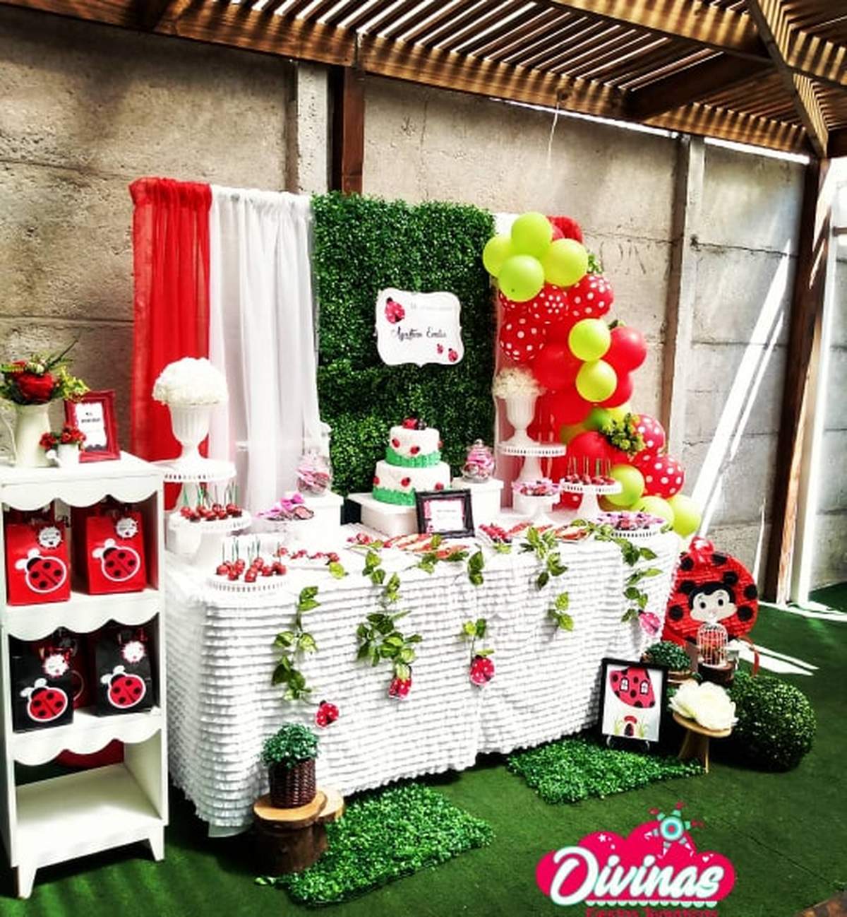 Ladybugs Birthday Party - ladybugs