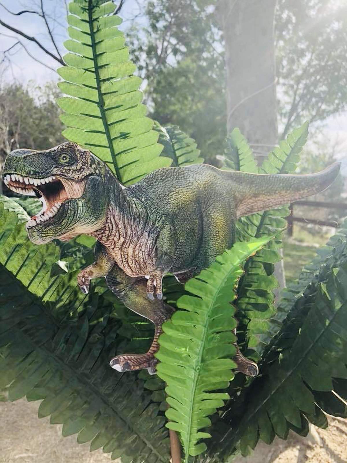 Aiden’s 5th Dinosaur Birthday Party - Dinosaurs