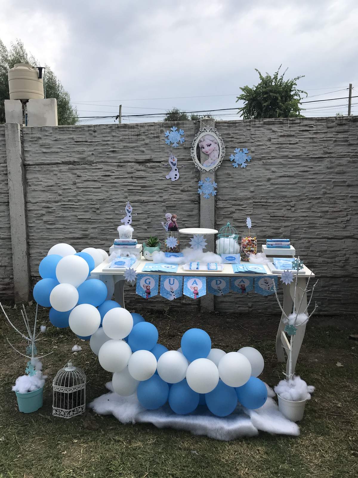 Frozen Party - Frozen (Disney)