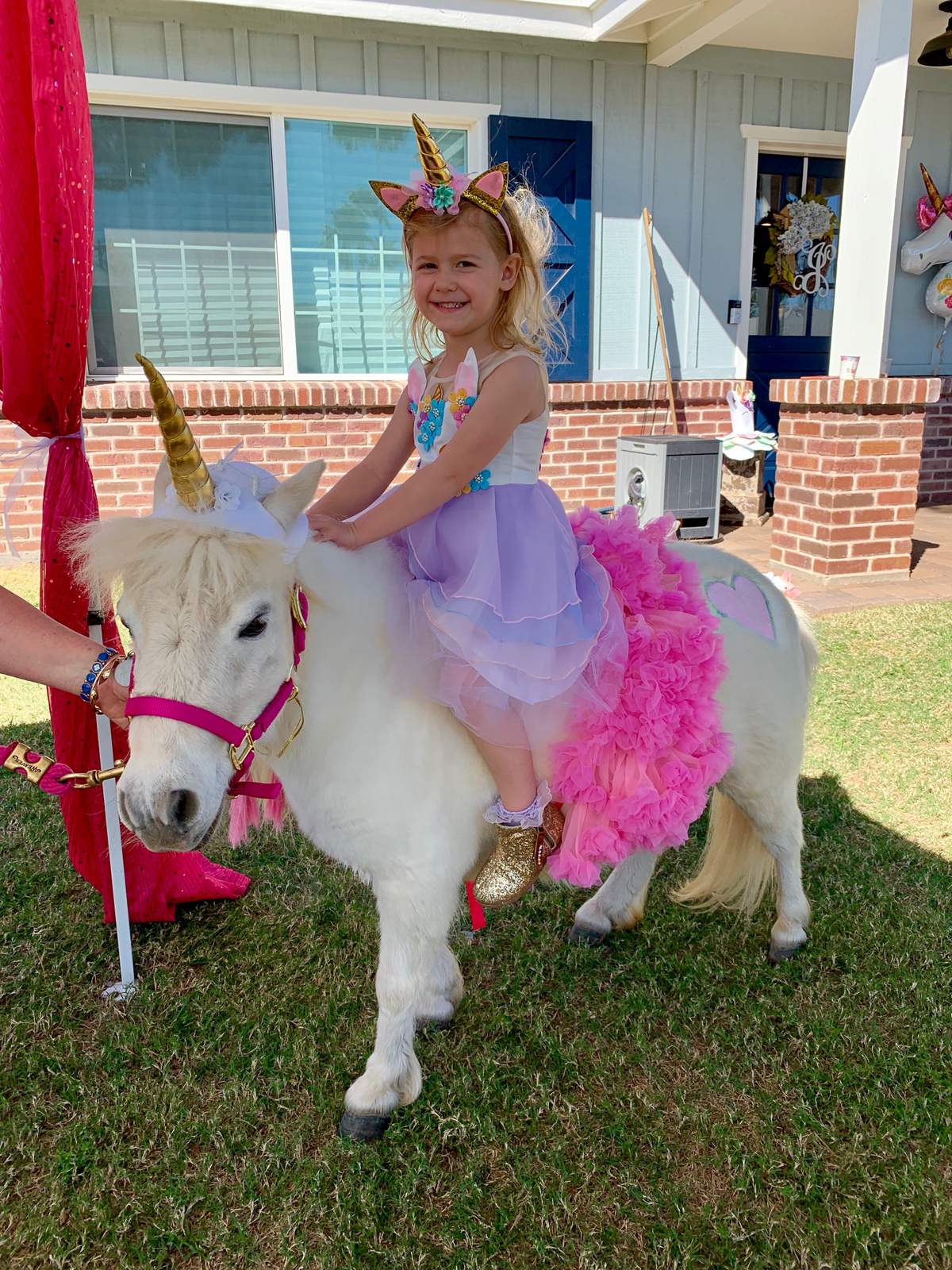 Winnie’s Magical Unicorn Party!  - Unicorn 