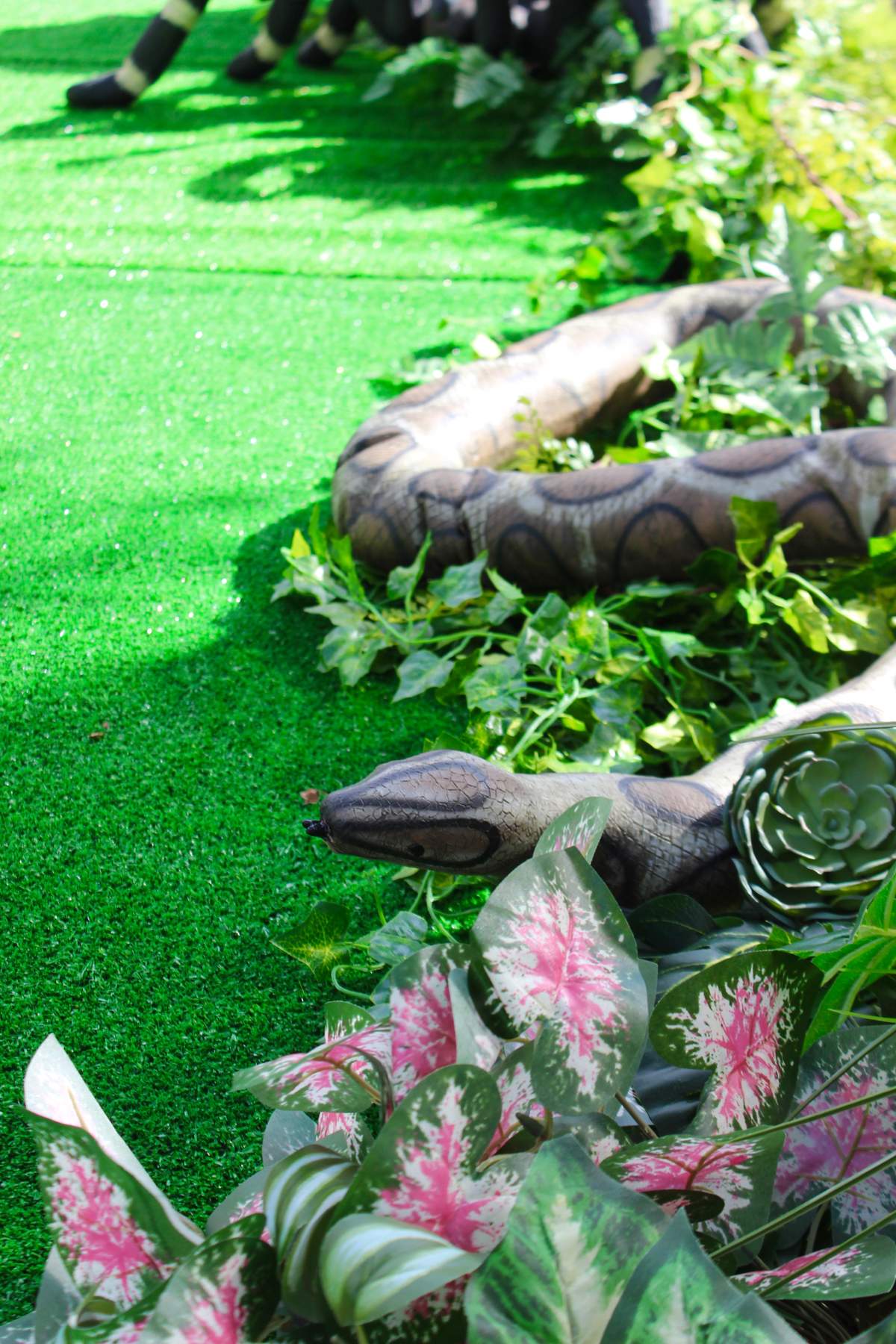 Bugs Insects & Reptiles Birthday Party Ideas | Photo 10 of 17 | Catch