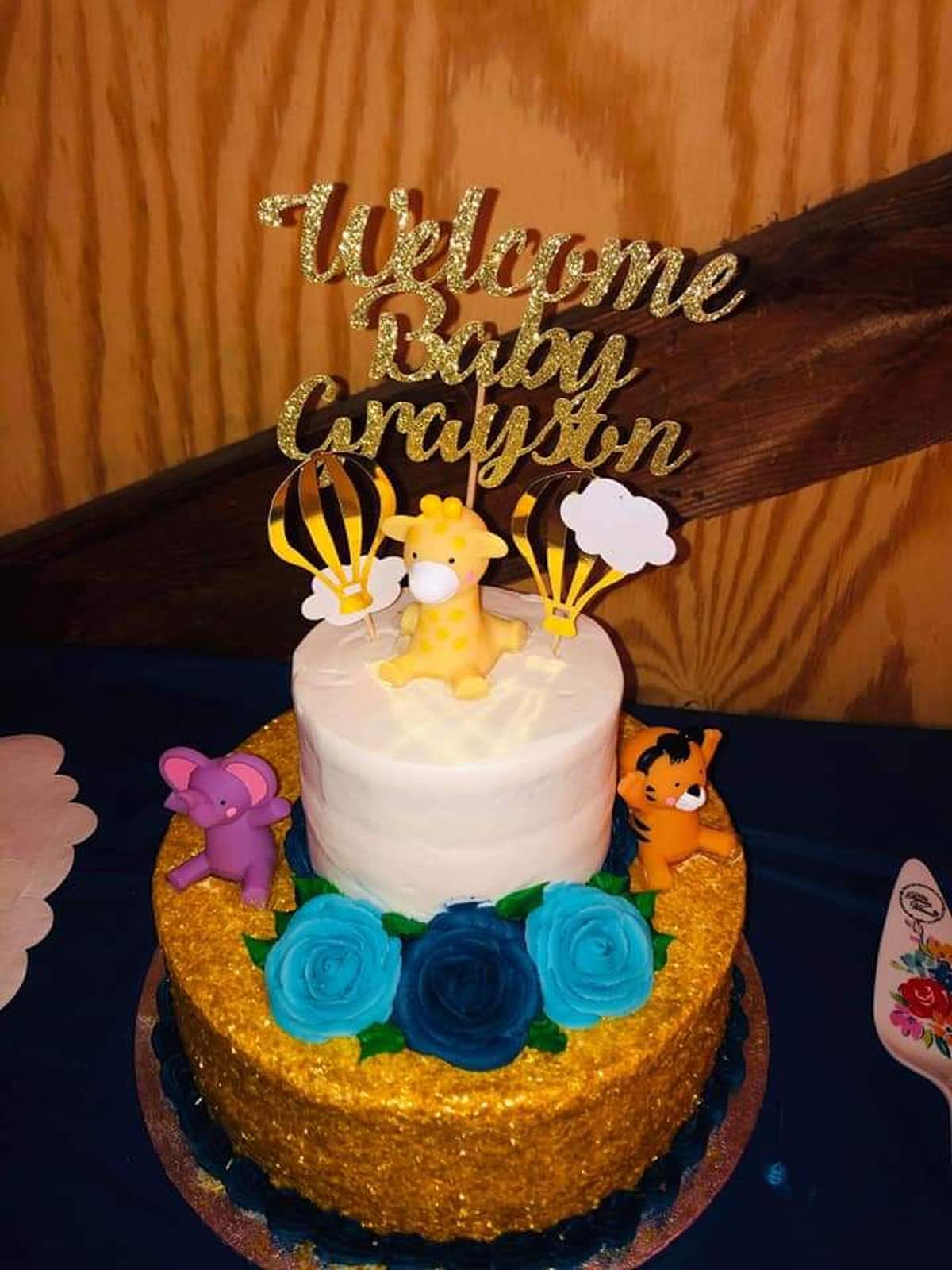 Becca's up up and away baby shower  - Hot Air Balloon