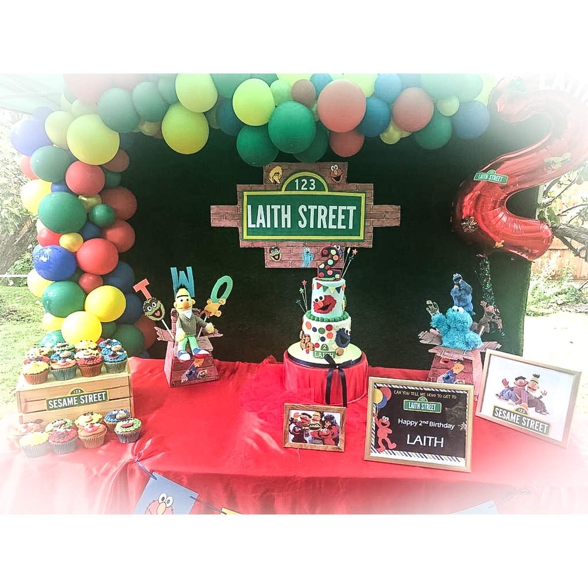 Laiths Sesame Street celebrations  - Sesame Street