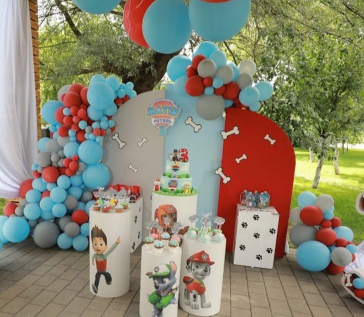 Matin's Paw Patrol Party - Paw Patrol