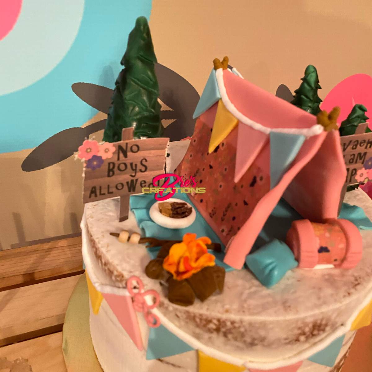 Nevaeh’s 9th Birthday  - Glamping Sleepover 