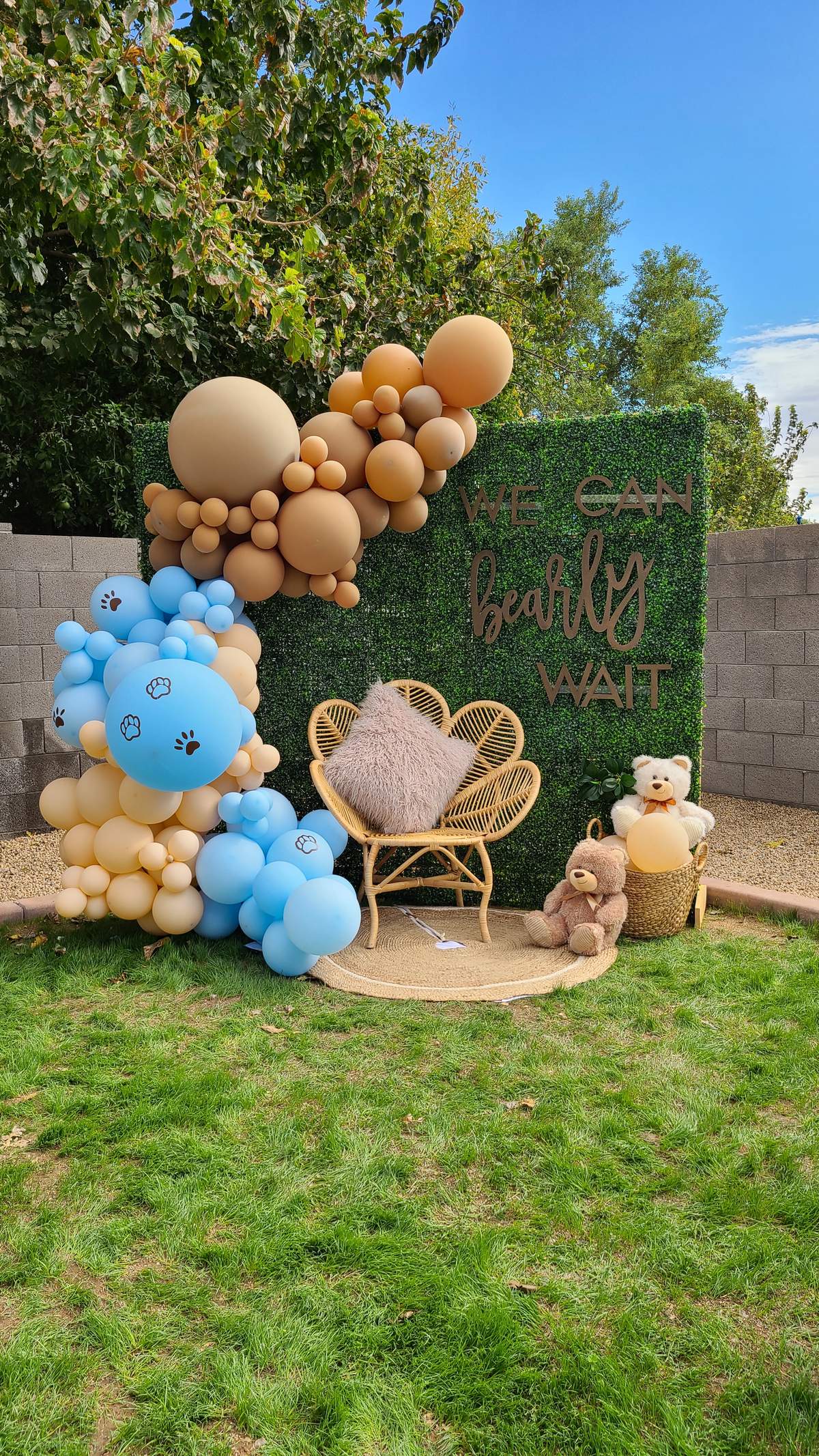 We Can Bearly Wait  - Bear theme Babyshower 