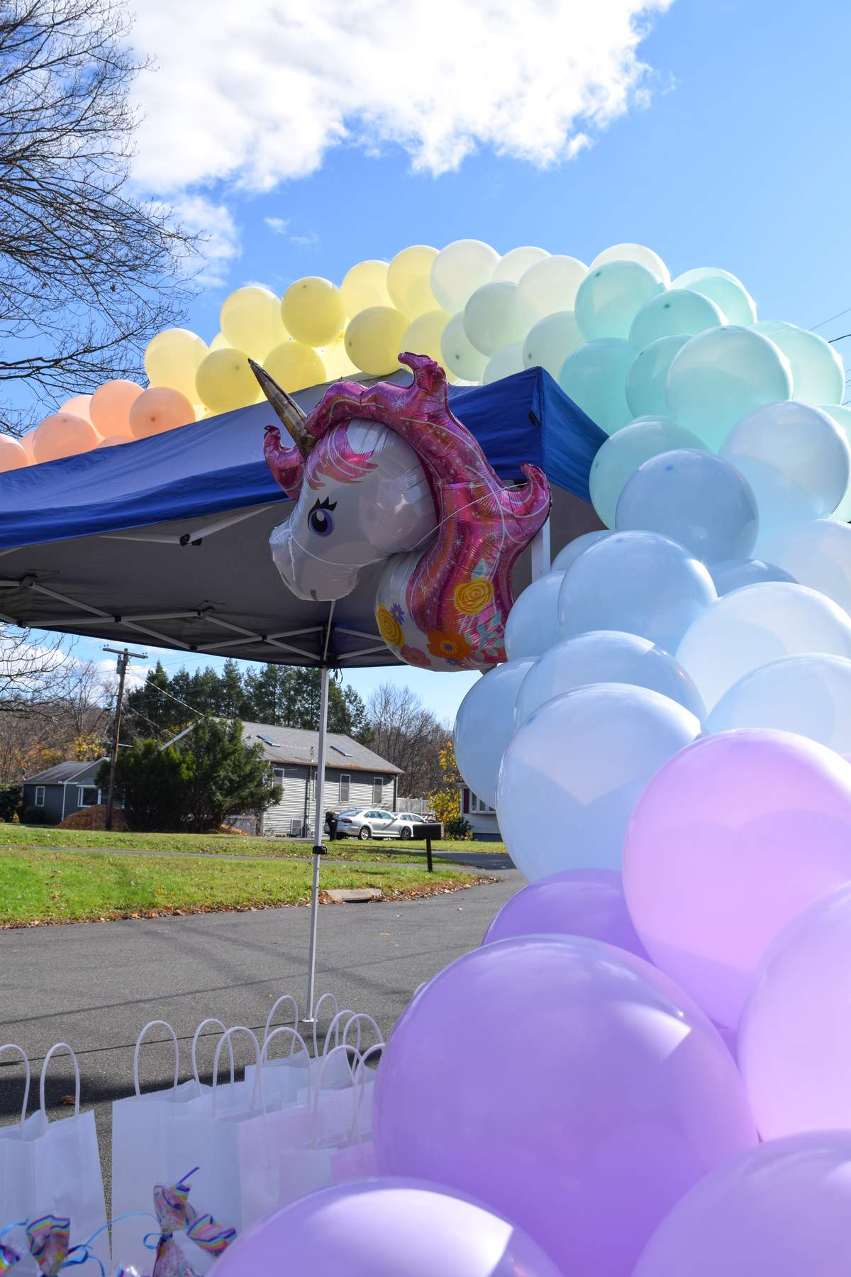 Rowan’s Unicorn Birthday Parade Party! - Rainbows & Unicorns