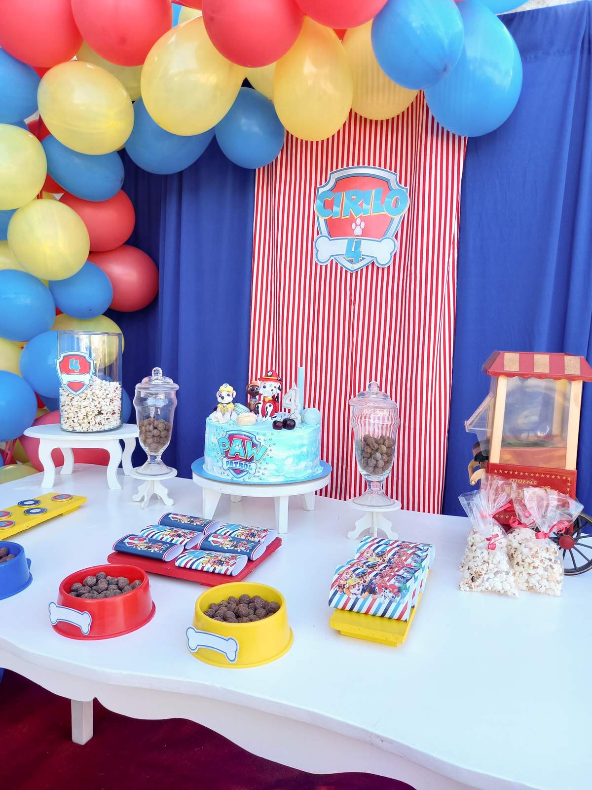 Birthday Paw Patrol - Paw Patrol