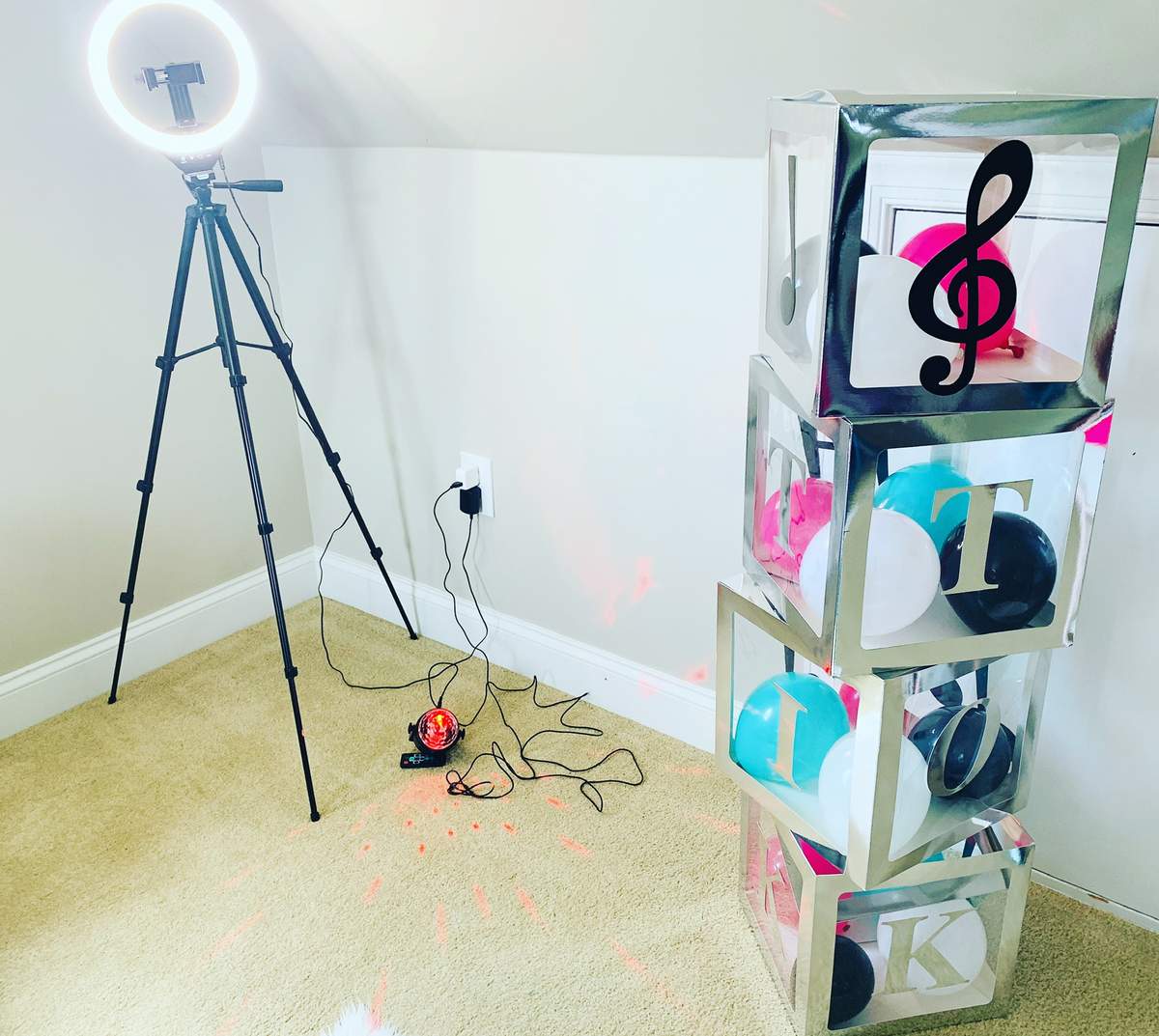 Tik Tok Birthday Party Ideas | Photo 8 of 8 | Catch My Party