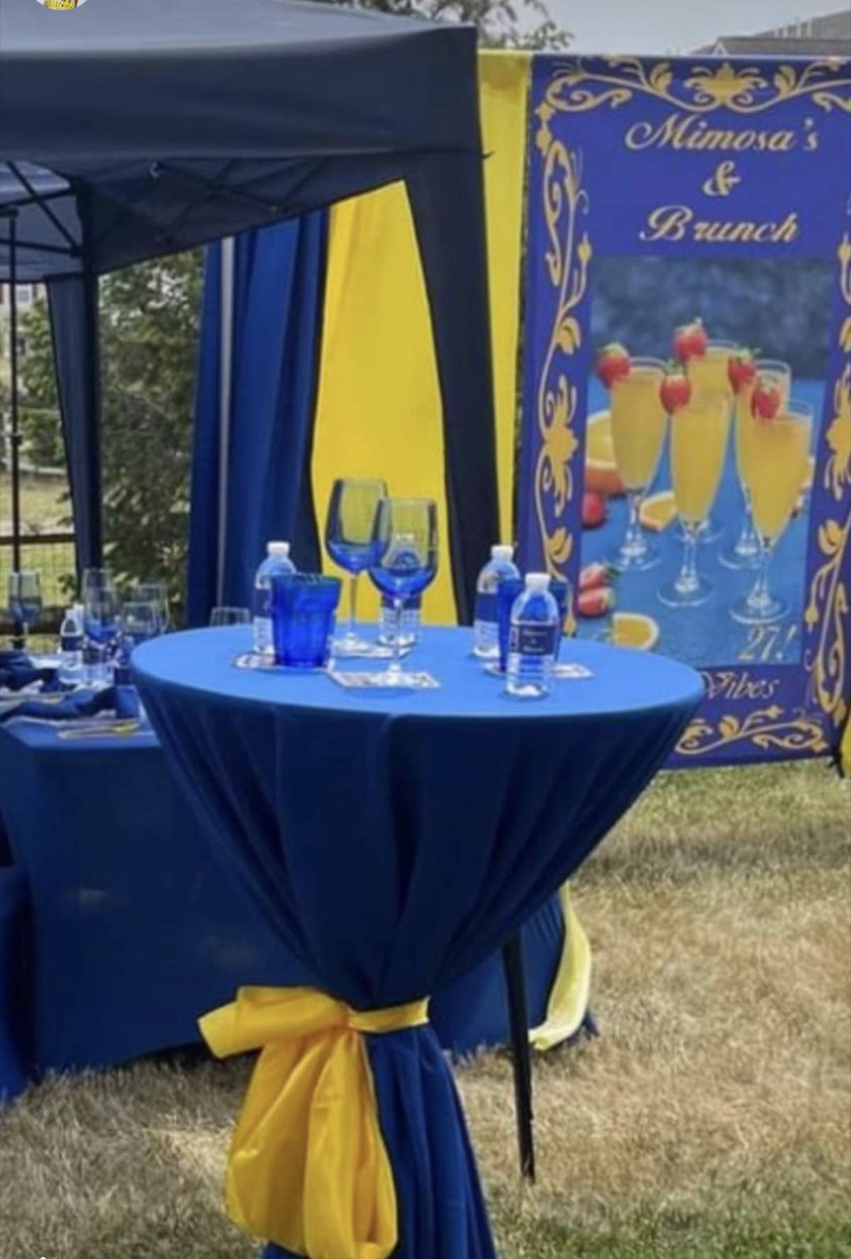 Mimosas and Brunch  - Mimosas and Brunch 