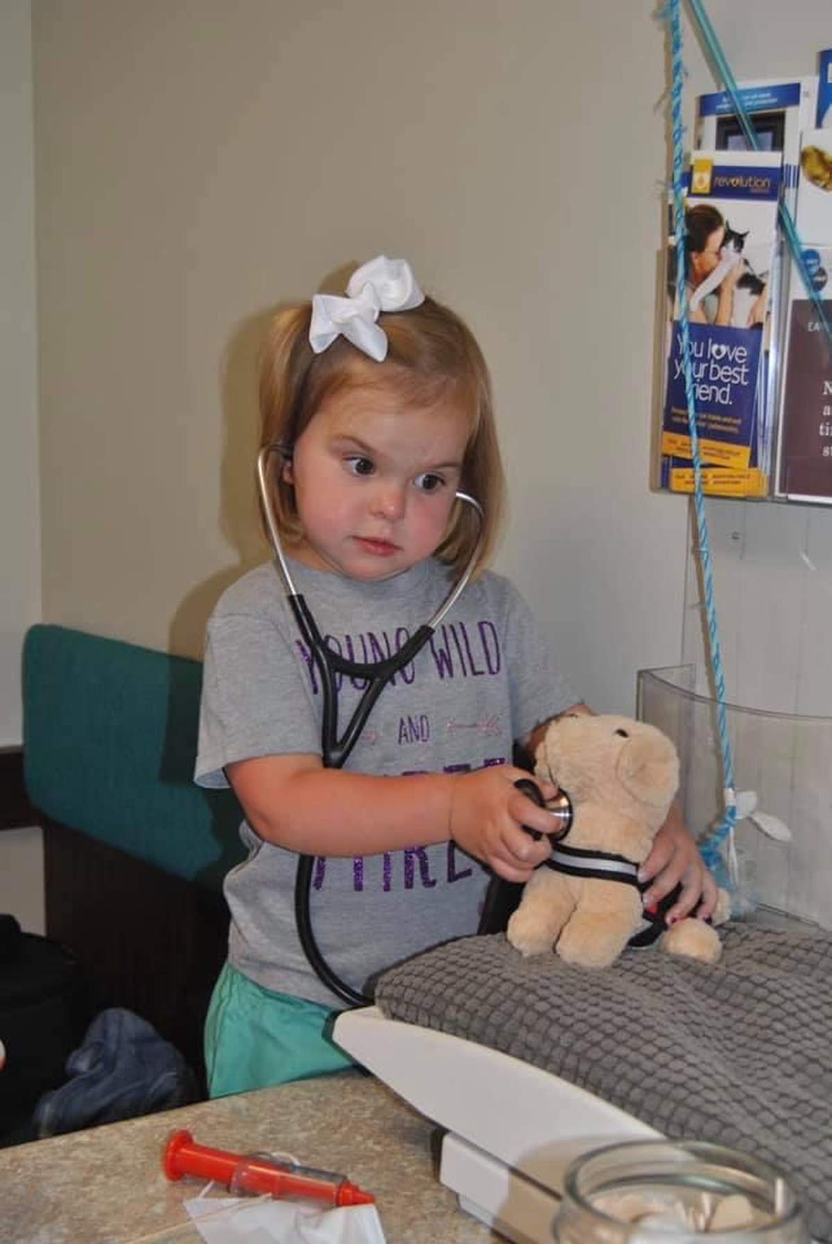 Ryleigh’s 3rd birthday - “Animal Doctor” -Vet