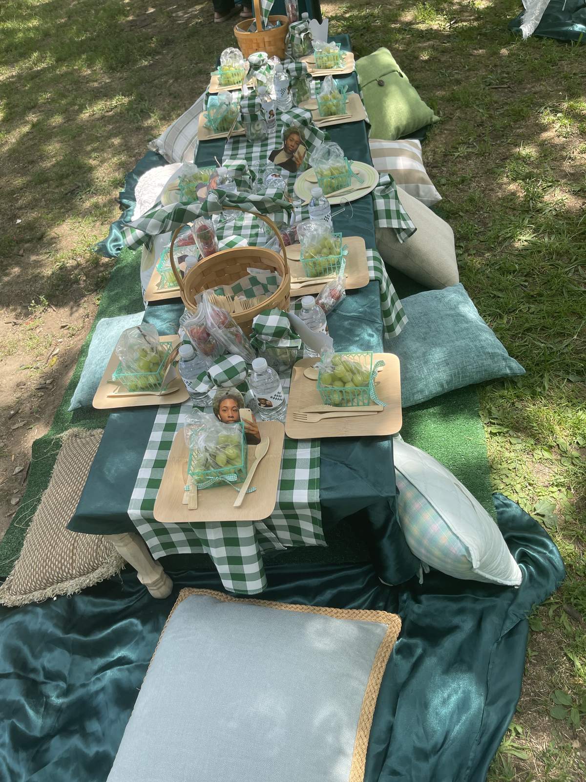 Sweet 16 Picnic Birthday Party Ideas Photo 1 of 10 Catch My Party