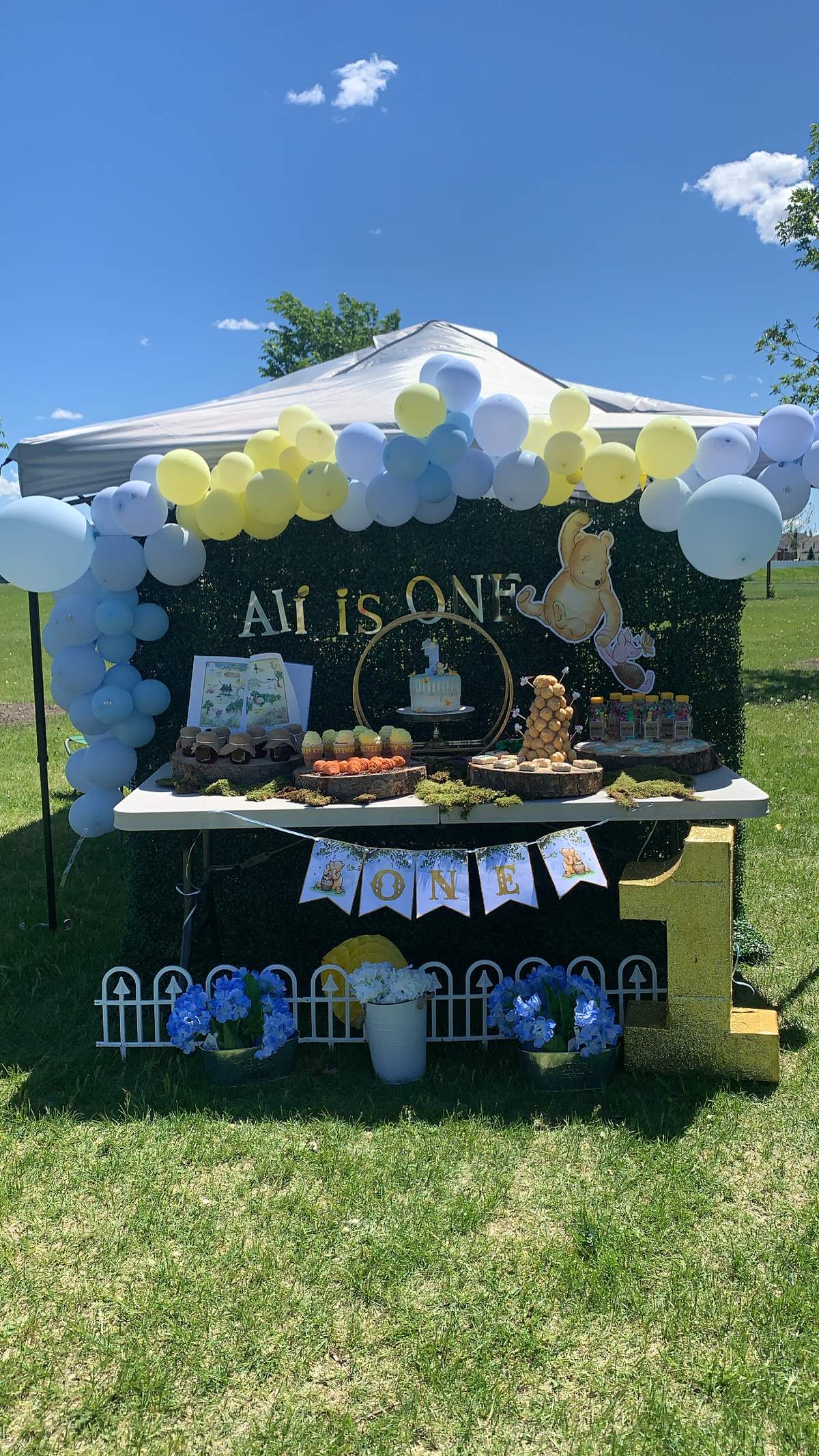 Ali’s vintage Winnie the Pooh first birthday - Vintage Winnie the Pooh 