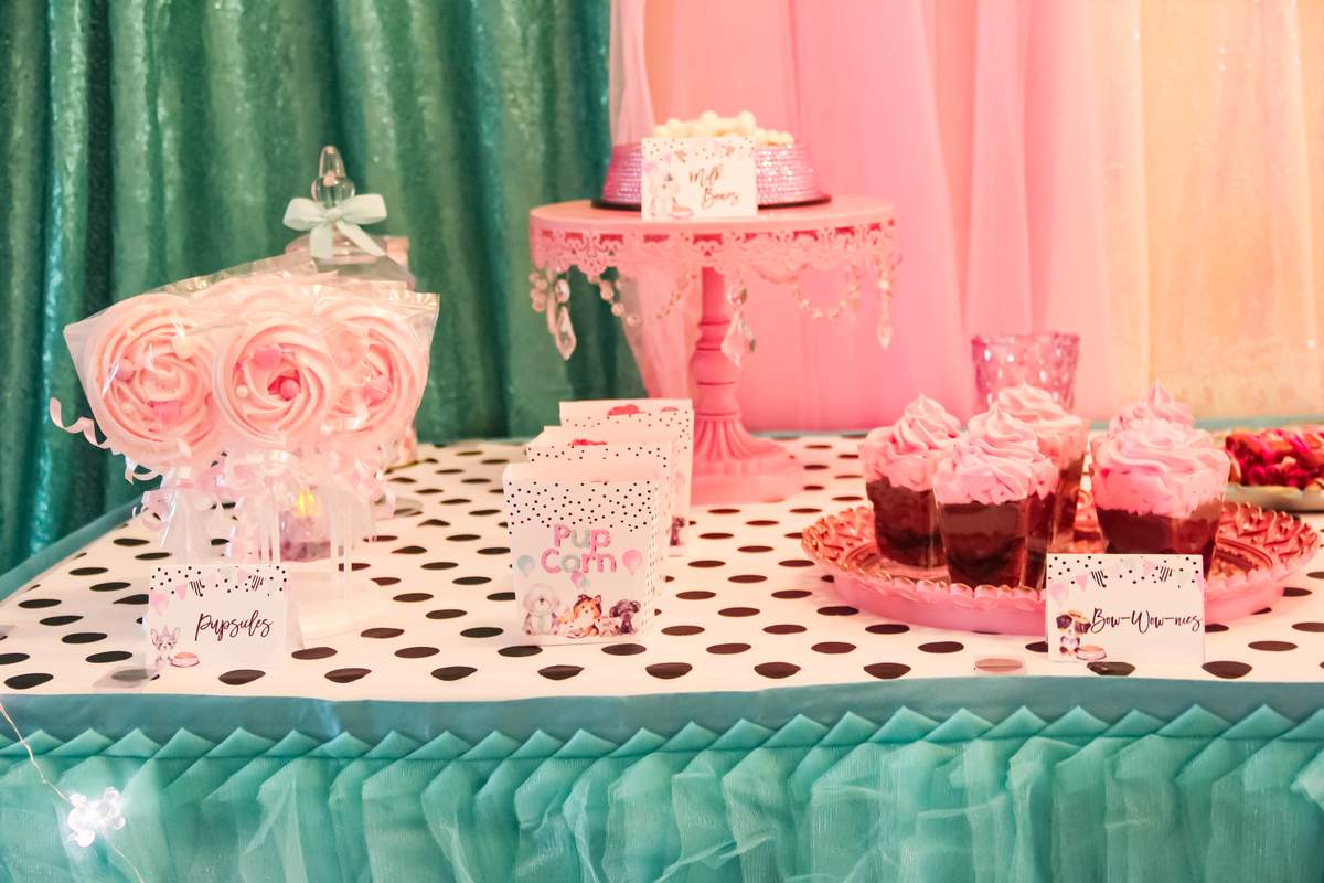 puppy-adoption-party-birthday-party-ideas-photo-8-of-56-catch-my-party
