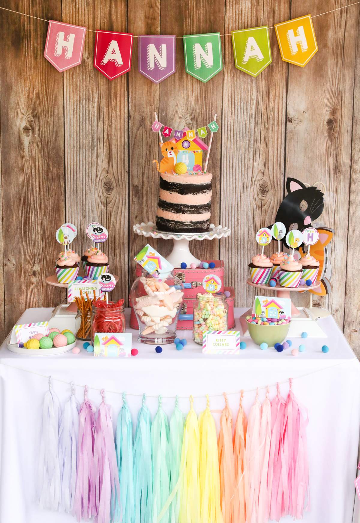 Cat Adoption Party Ideas