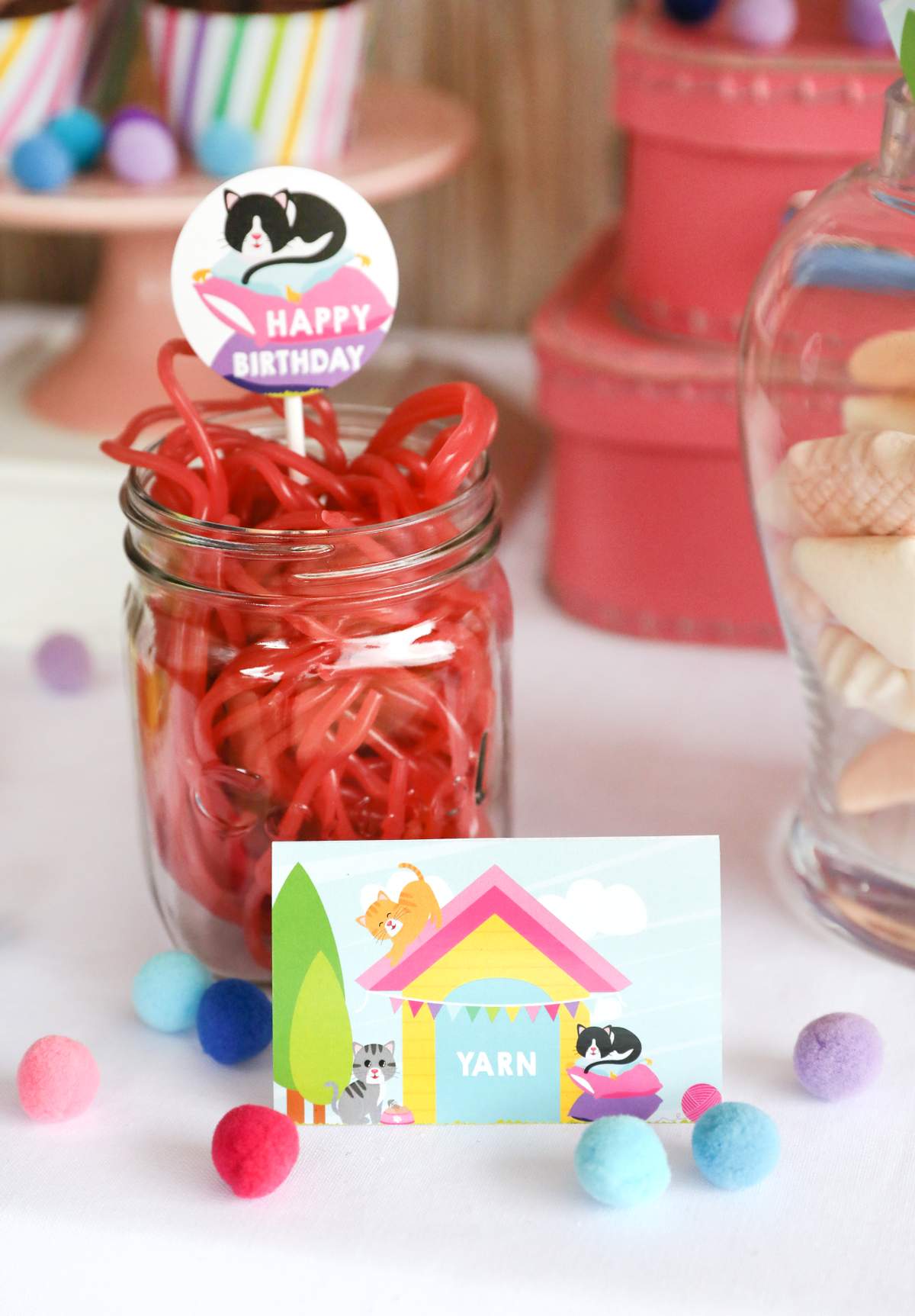 kitty-cat-adoption-party-birthday-party-ideas-photo-2-of-16-catch