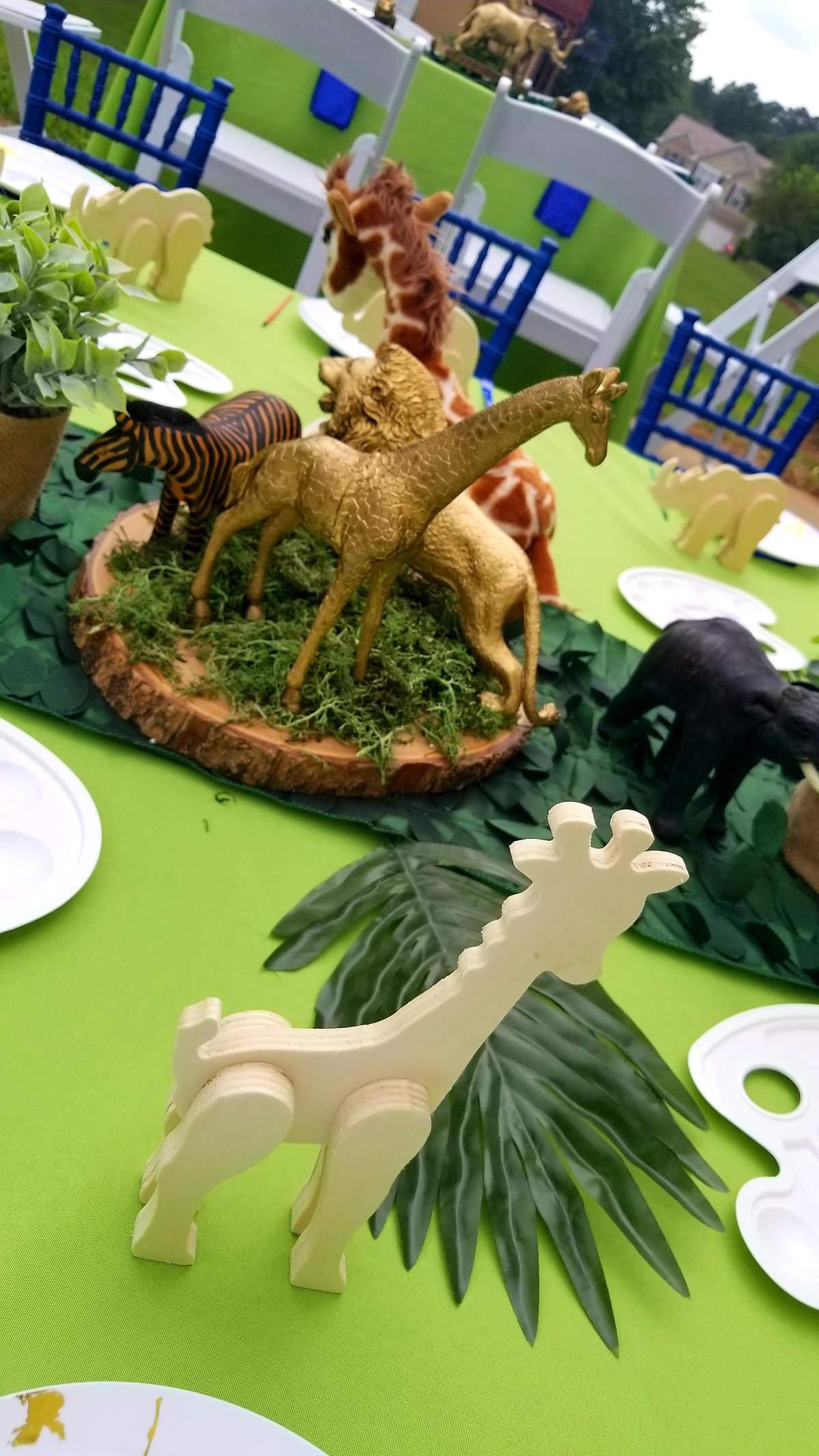 Tyson's Safari Birthday - Safari