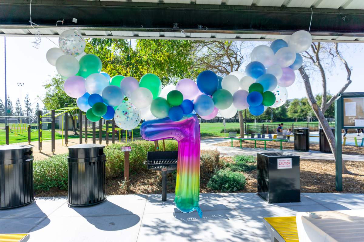 Mermaid theme park party - Mermaid