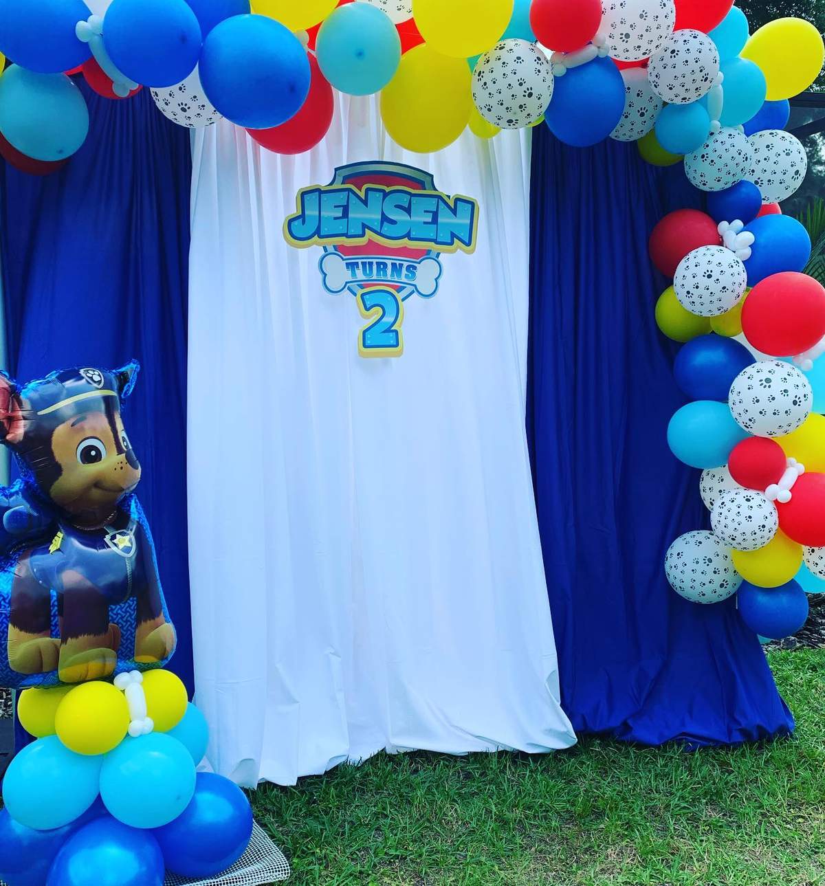 Paw Patrol Birthday Party Ideas Photo 1 of 4 Catch My Party