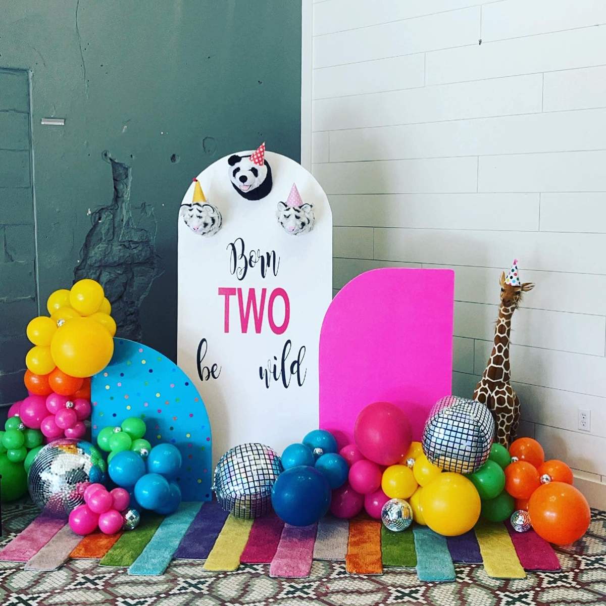Haven Is TWO - TWO WILD
