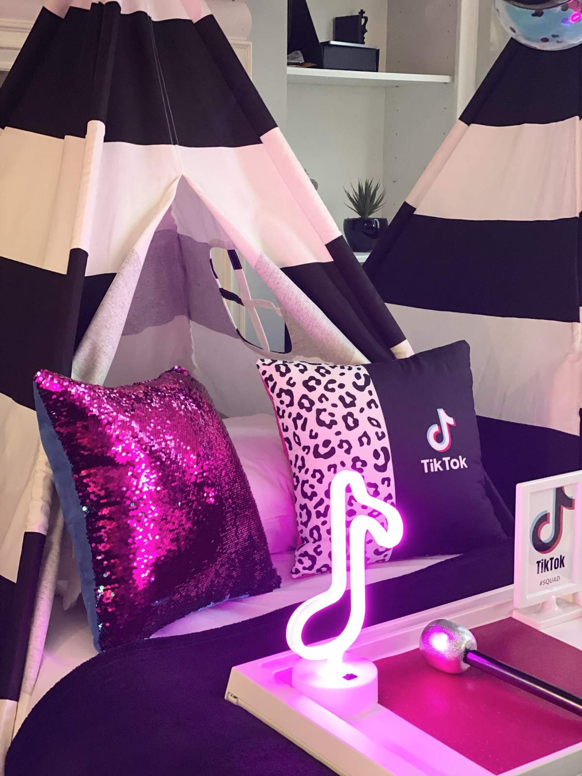 TikTok Birthday Party Ideas | Photo 1 of 7 | Catch My Party