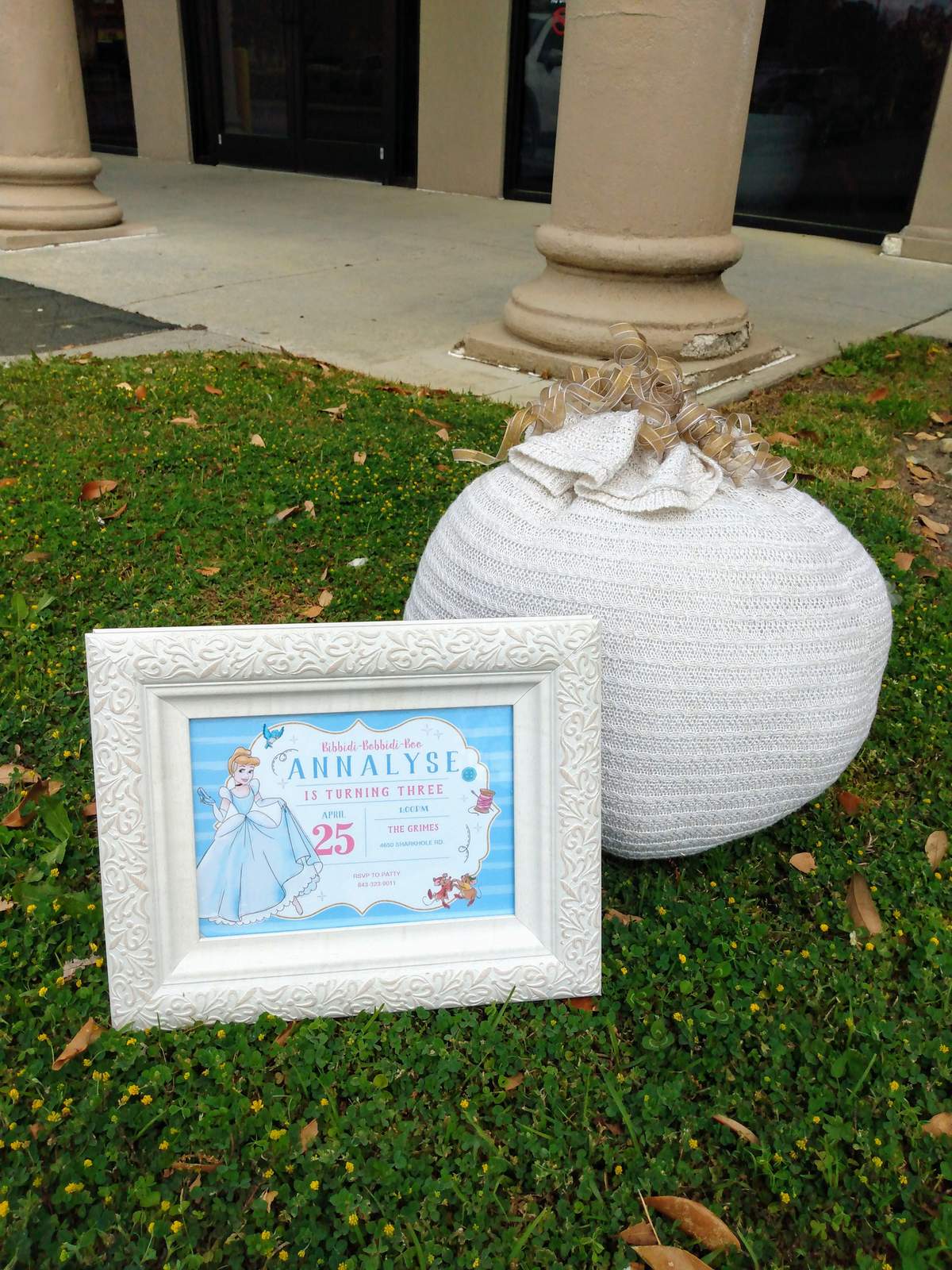 Annalyse's 3rd Birthday - Cinderella 